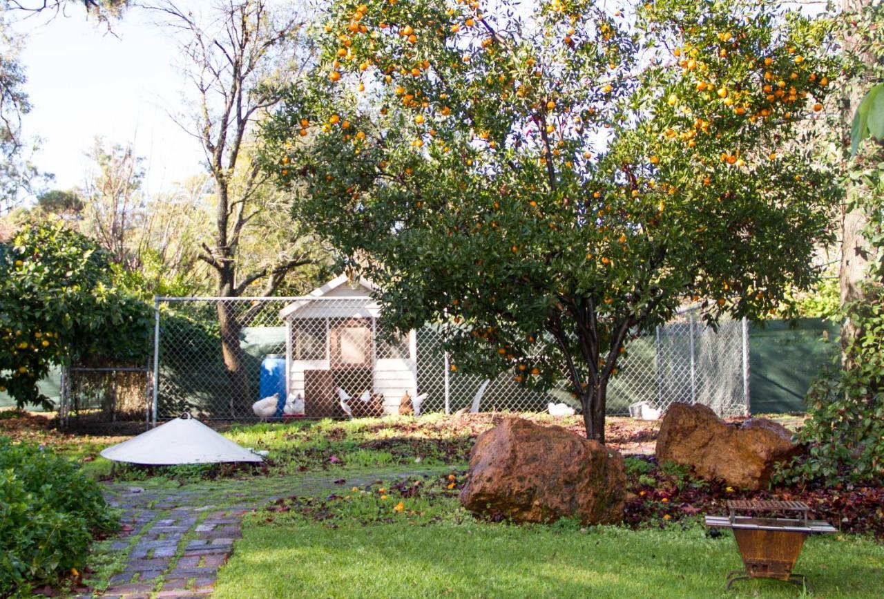 Farview Guest Accommodation Pickering Brook Kültér fotó